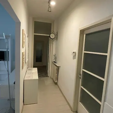 Cleo Tulipano * Falconara Marittima